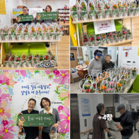 꽃다발 업체 '꽃화분' 70개 전…게시글의 첨부 이미지